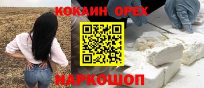 винт Новозыбков