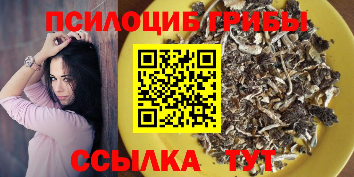 Сегежа  Псилоцибиновые грибы ЛСД  Галлюциногенные грибы Psilocybine cubensis  наркошоп  Вход с VPN 